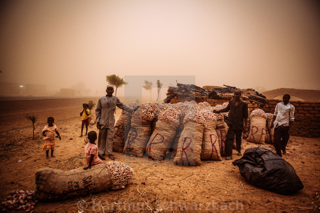 "Traditional Village in the Sahel Zone - Niger" stock image