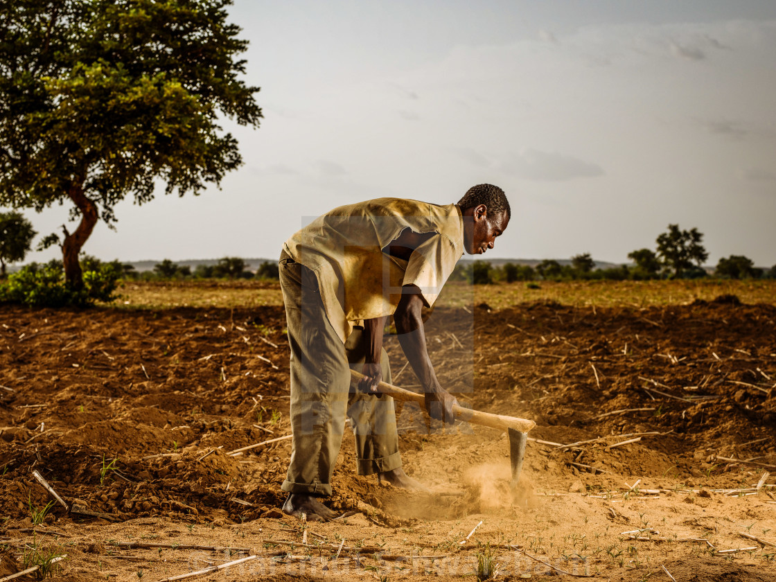 "Traditional Village in the Sahel Zone - Niger" stock image