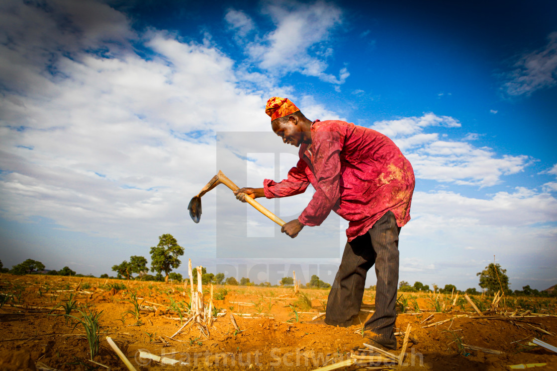 "Traditional Village in the Sahel Zone - Niger" stock image