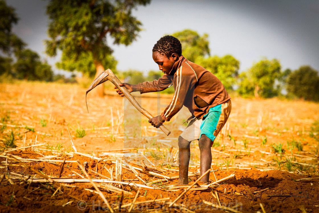 "Traditional Village in the Sahel Zone - Niger" stock image