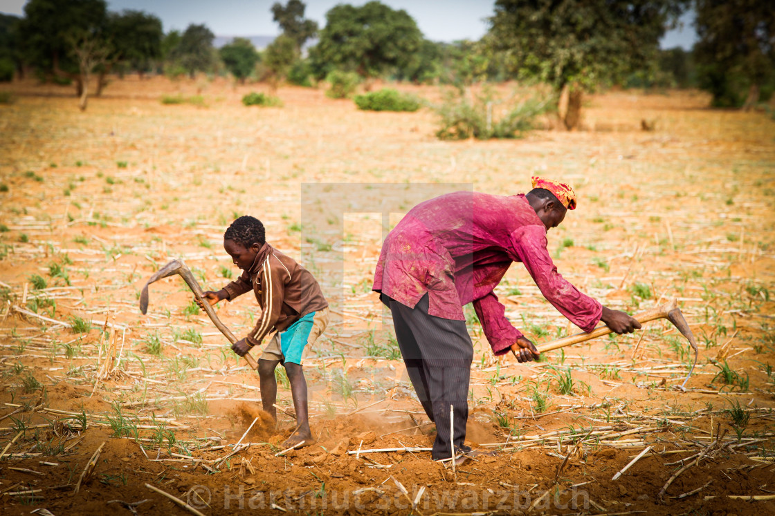 "Traditional Village in the Sahel Zone - Niger" stock image