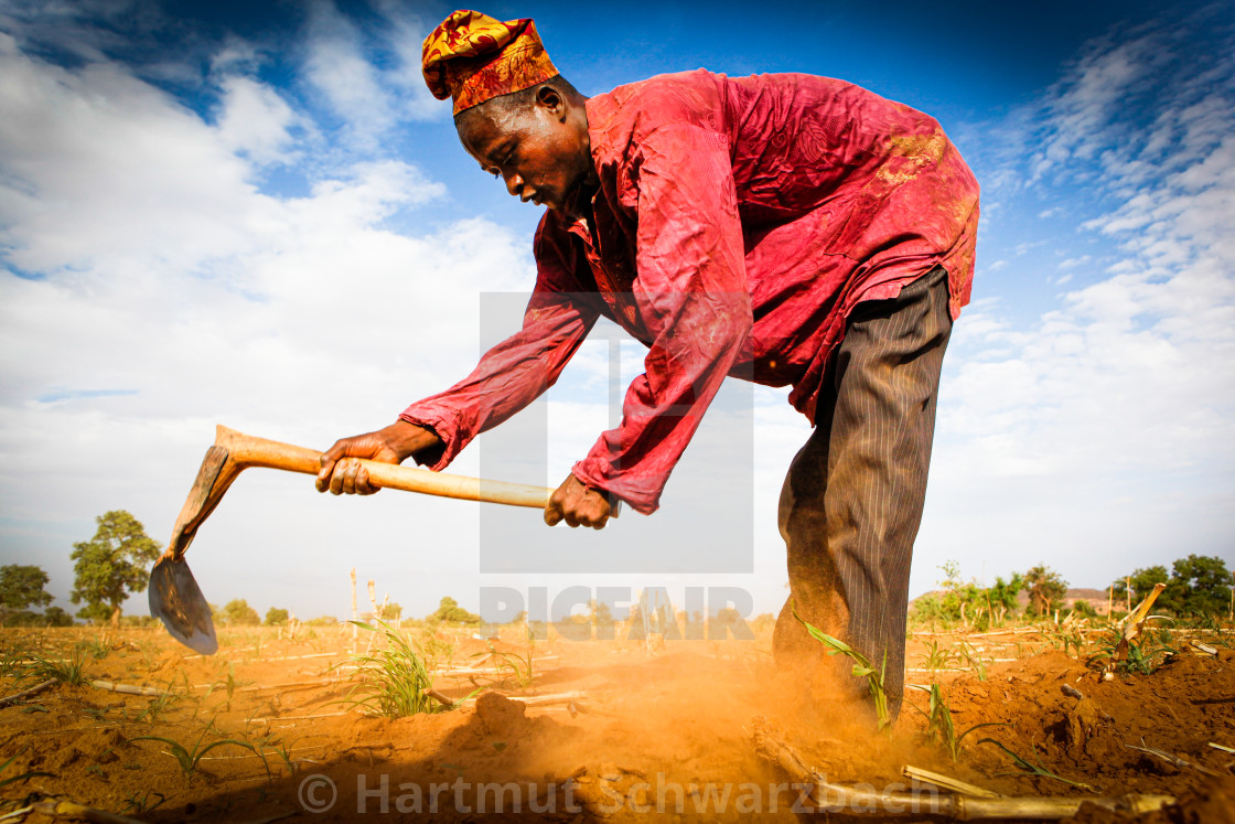 "Traditional Village in the Sahel Zone - Niger" stock image