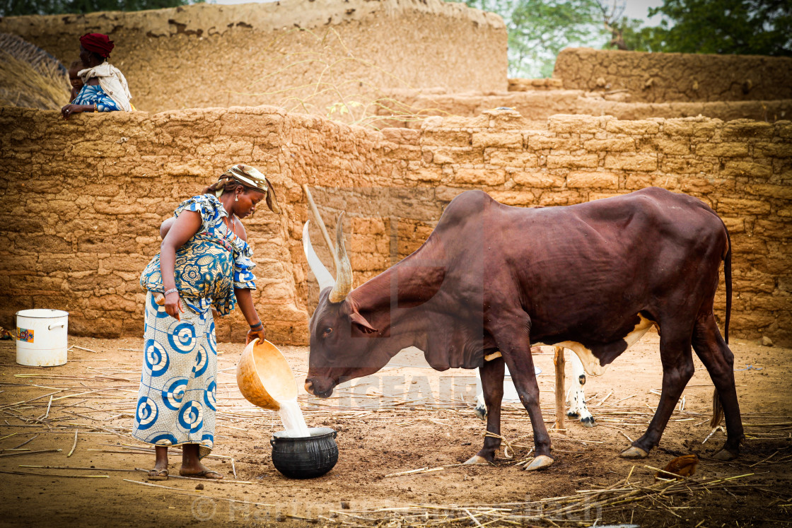 "Traditional Village in the Sahel Zone - Niger" stock image