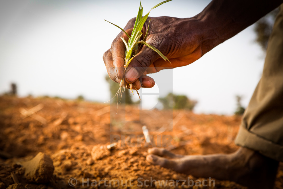 "Traditional Village in the Sahel Zone - Niger" stock image