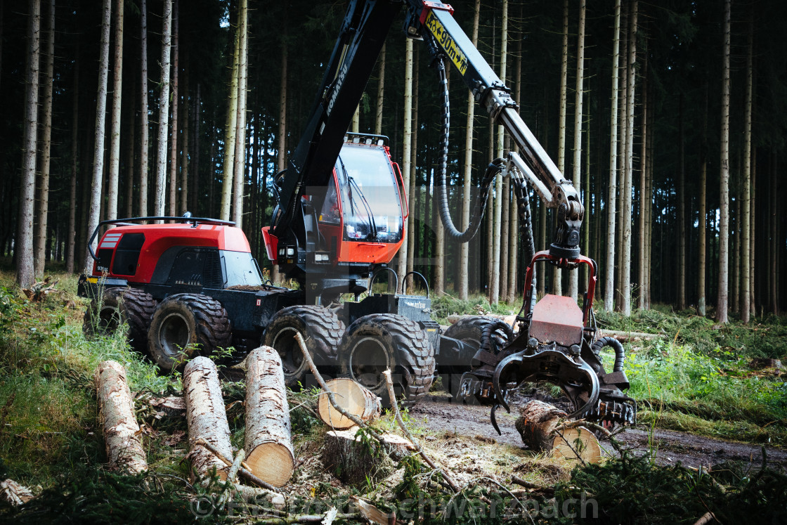 "Der Harz - Reise durch das Waldsterben (Dying Forest in Gemany)" stock image