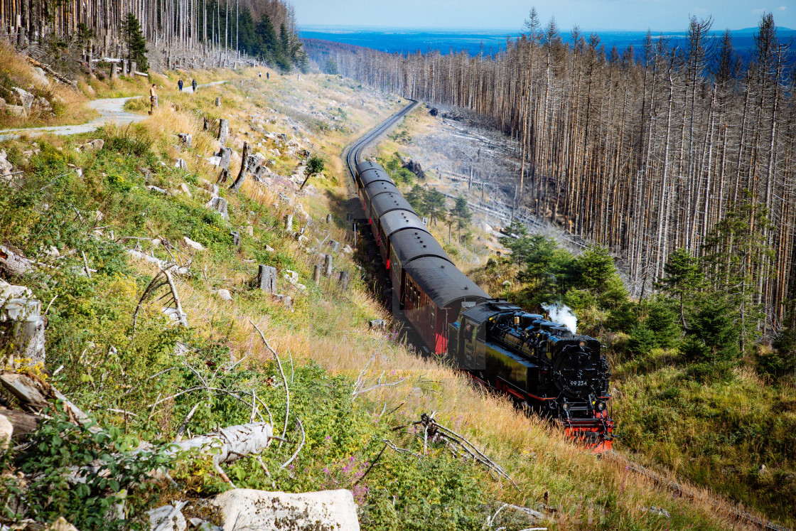 "Der Harz - Reise durch das Waldsterben" stock image