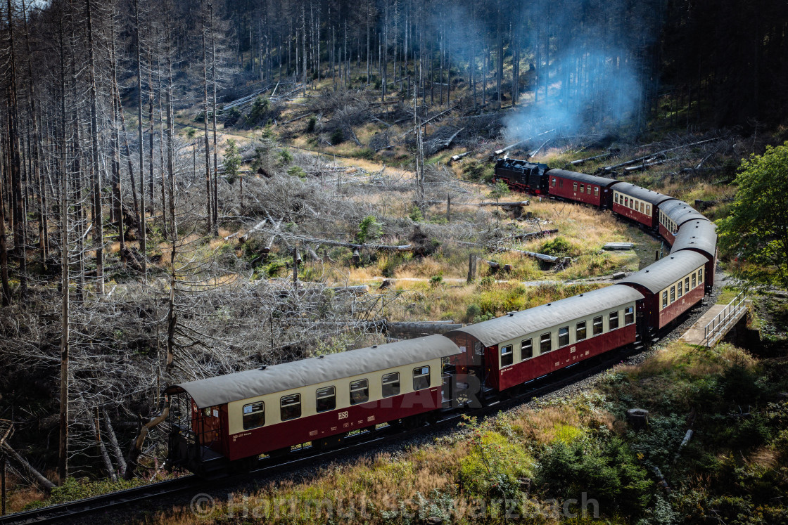 "Die Brockenbahn im Harz - Reise durch das Waldsterben" stock image