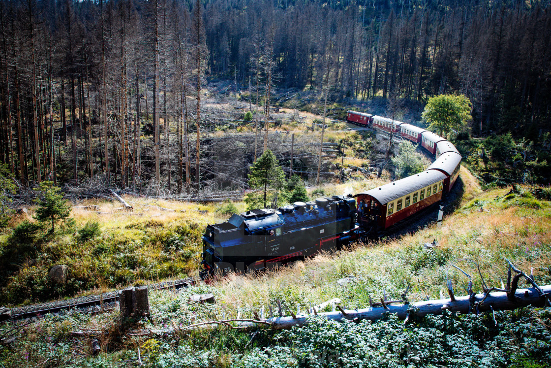 "Der Harz - Reise durch das Waldsterben" stock image