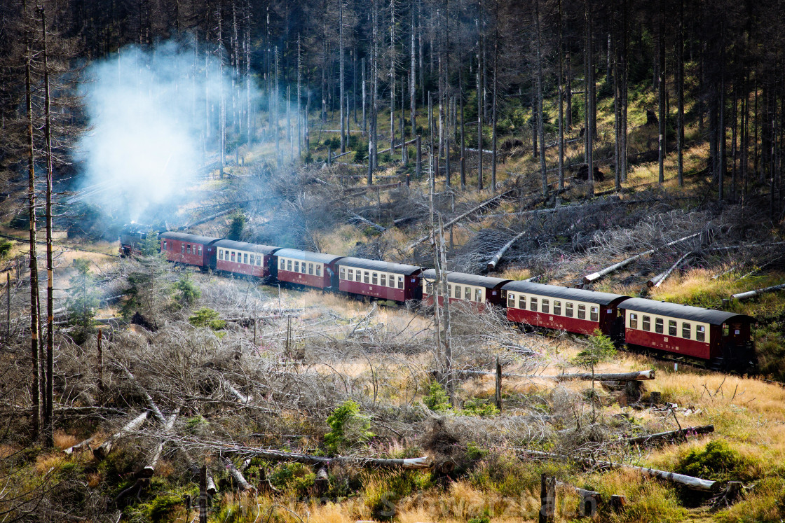 "Der Harz - Reise durch das Waldsterben" stock image