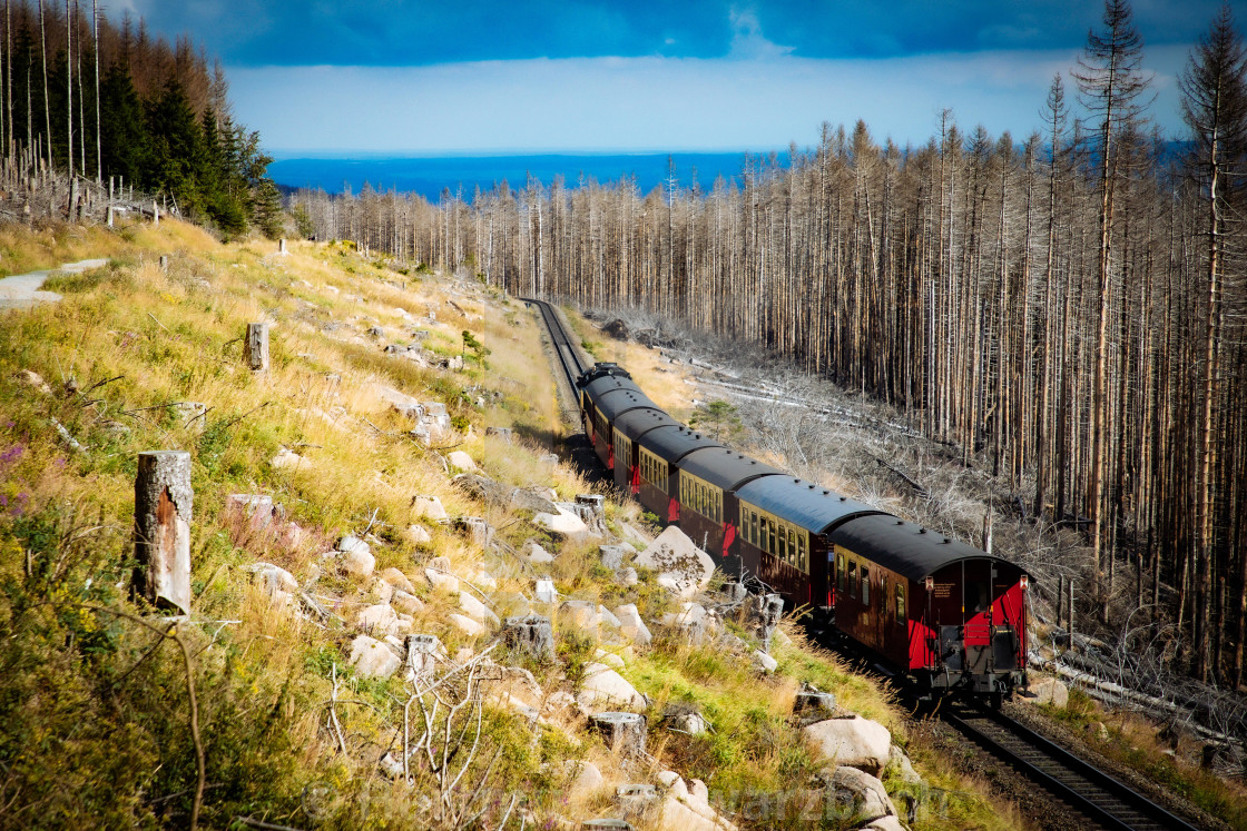 "Der Harz - Reise durch das Waldsterben" stock image