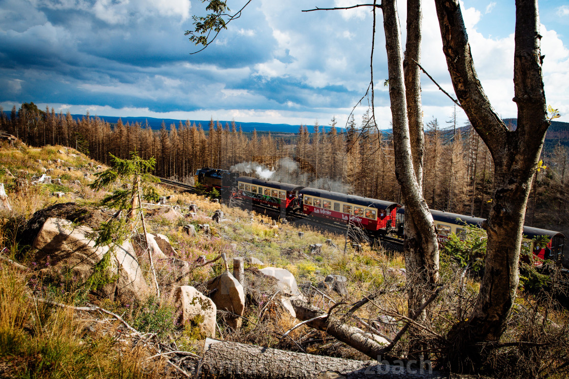 "Der Harz - Reise durch das Waldsterben" stock image