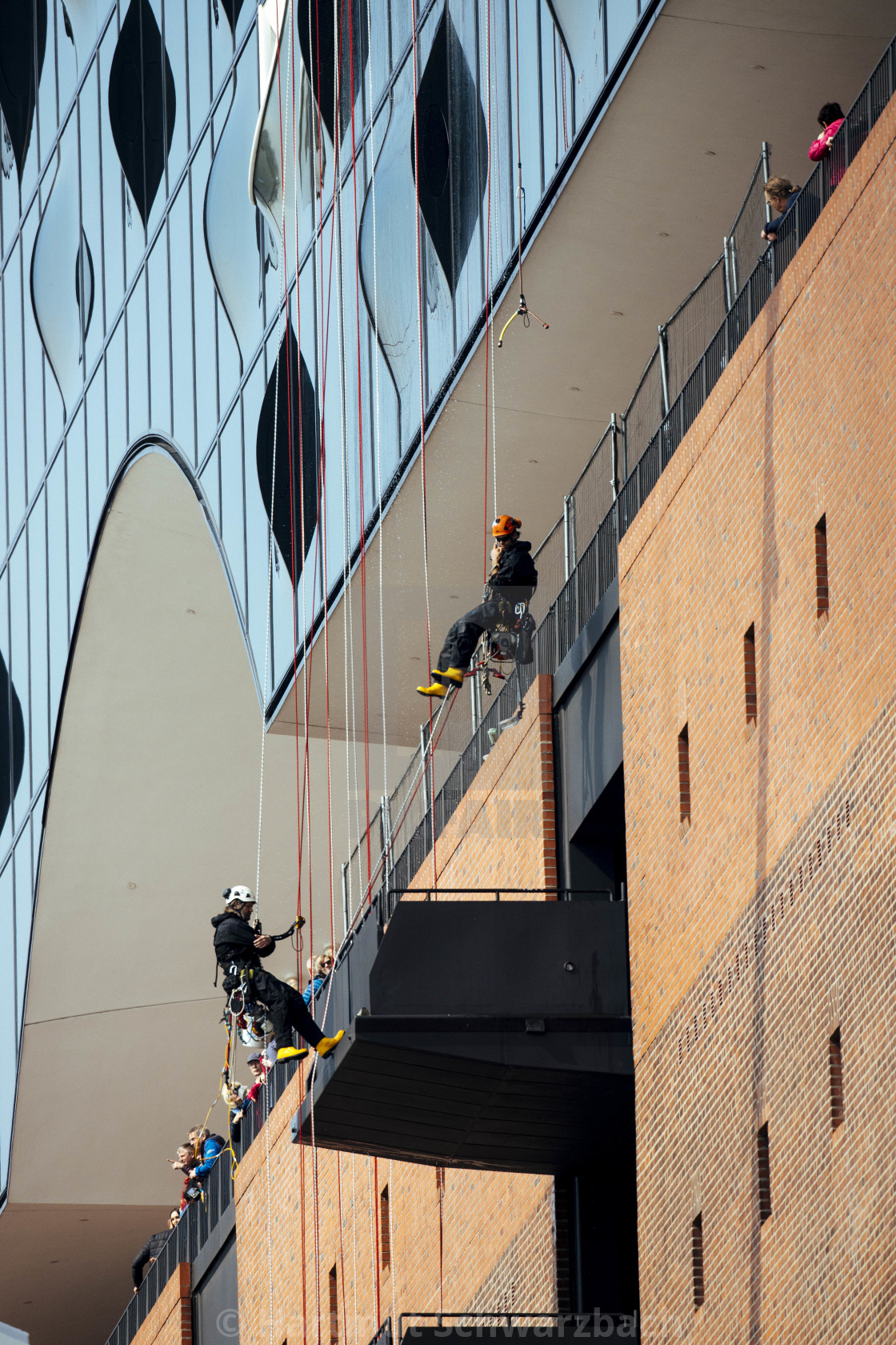 "Fensterreinigung der Elbphilharmonie durch Industriekletterer" stock image