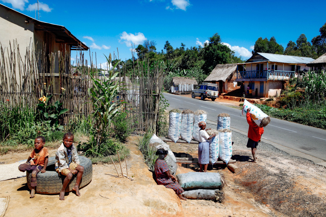 "Charcoal for sale in Madagascar" stock image