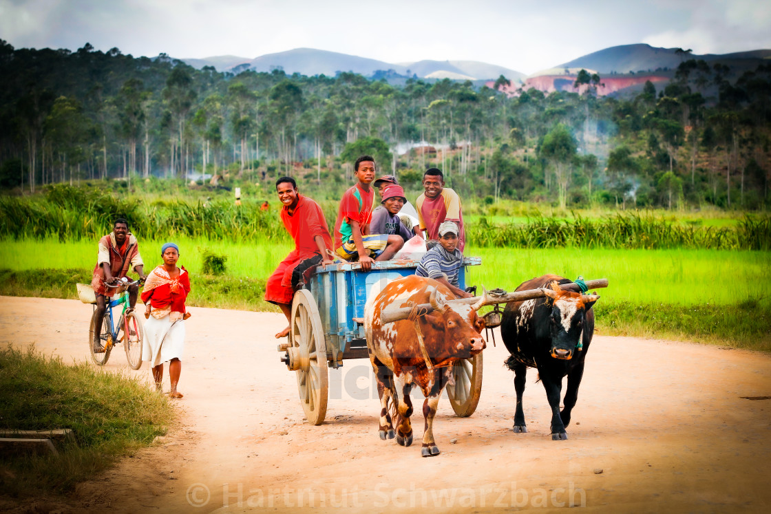 "Transport in Madagascar" stock image