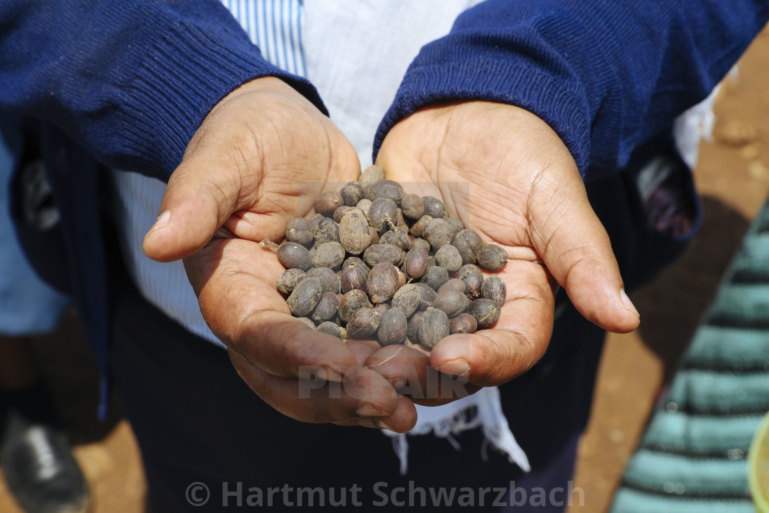 "Coffee" stock image