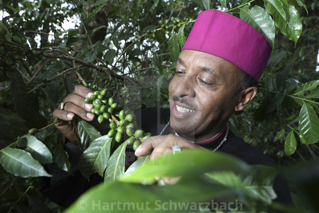 "Coffee" stock image