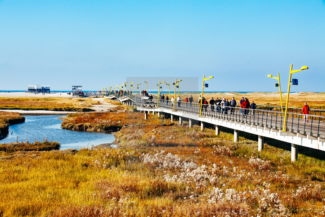 "coastal protection on the north sea" stock image