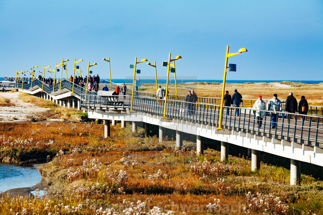 "coastal protection on the north sea" stock image