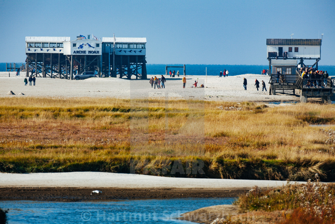 "coastal protection on the north sea" stock image