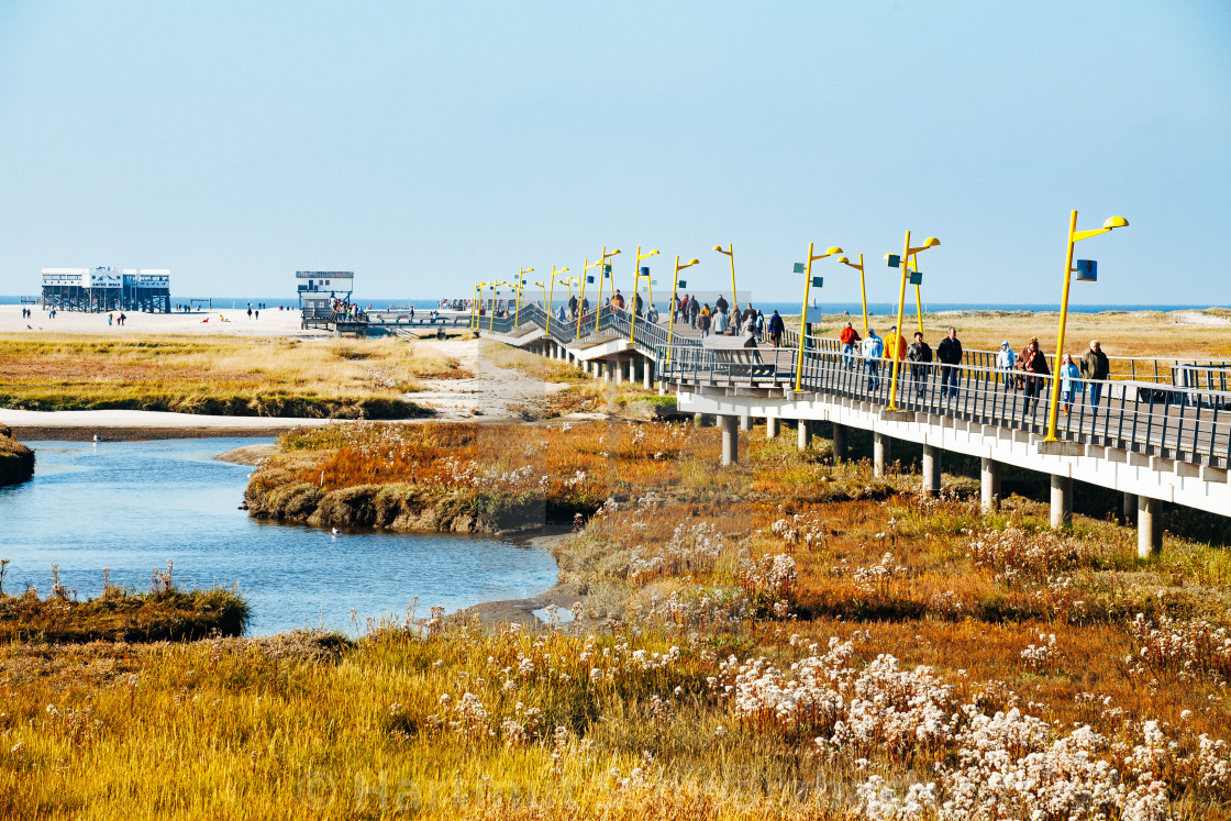 "coastal protection on the north sea" stock image