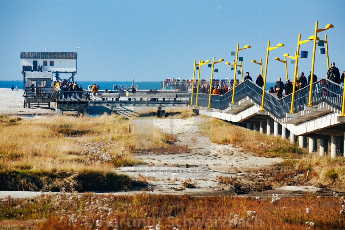 "coastal protection on the north sea" stock image