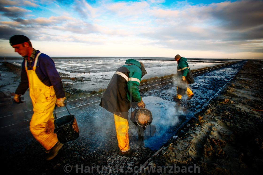 "coastal protection on the north sea" stock image