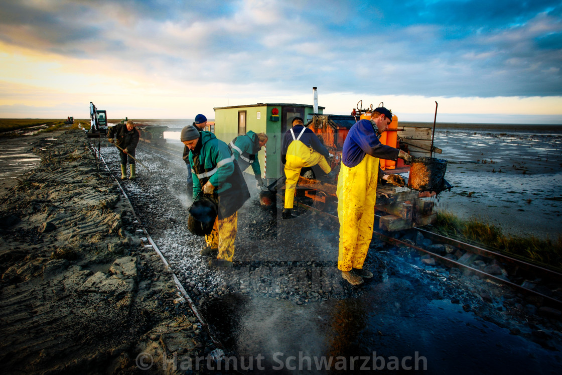 "coastal protection on the north sea" stock image