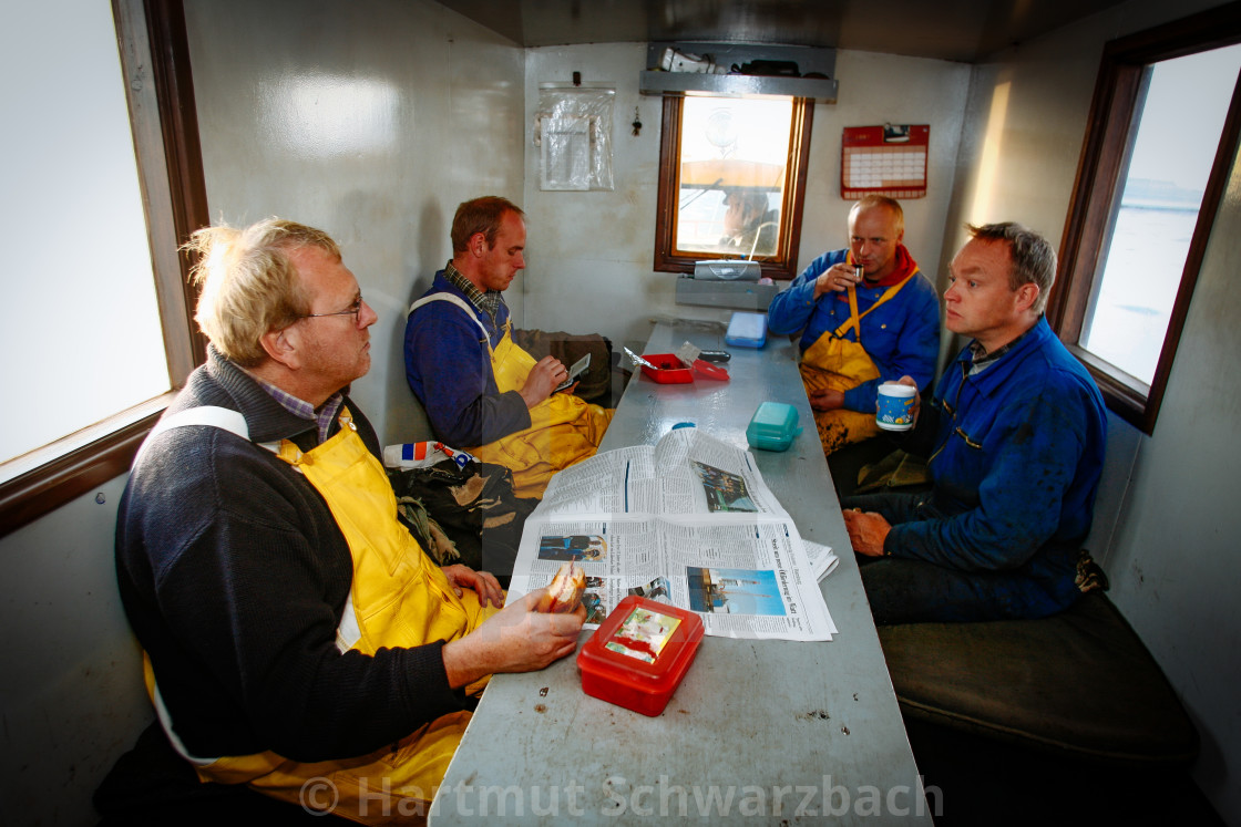 "coastal protection on the north sea" stock image