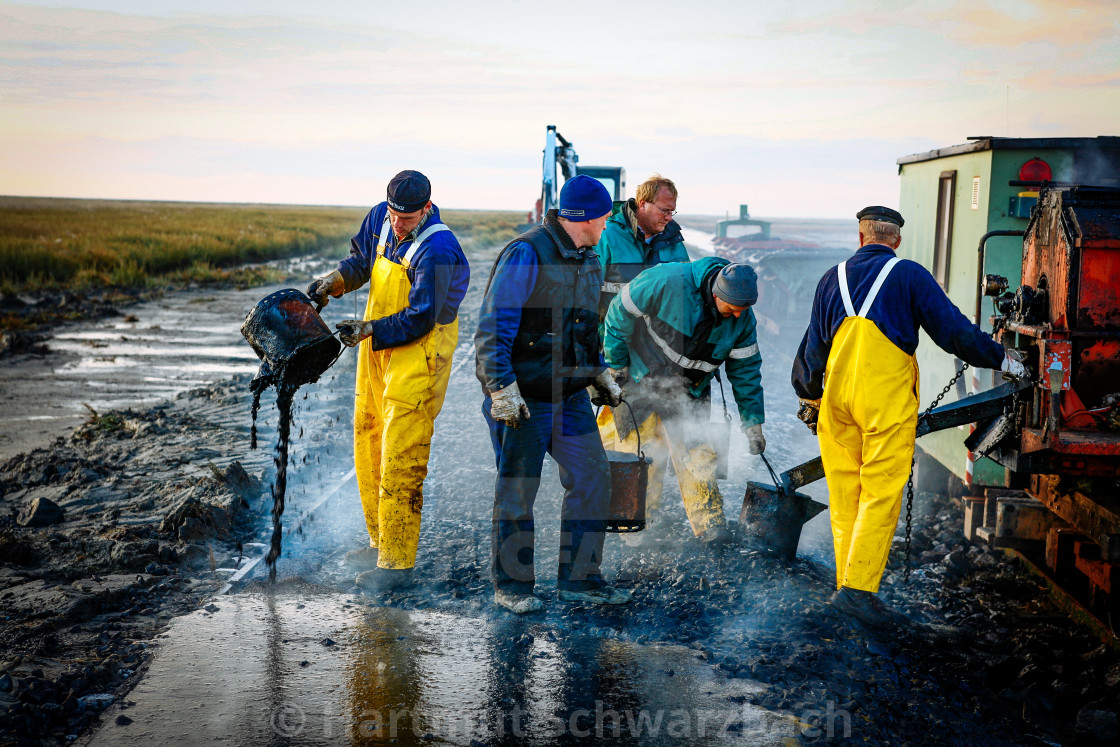 "coastal protection on the north sea" stock image