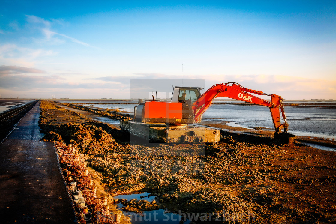 "coastal protection on the north sea" stock image