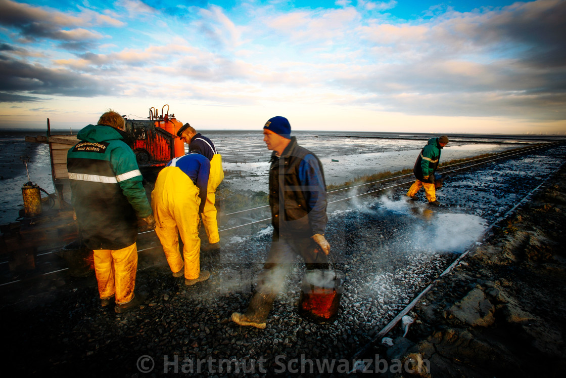 "coastal protection on the north sea" stock image