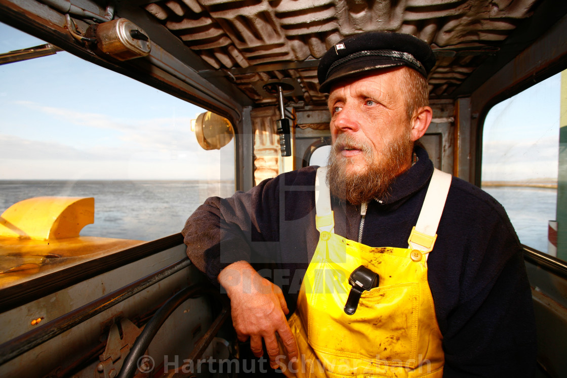 "coastal protection on the north sea" stock image