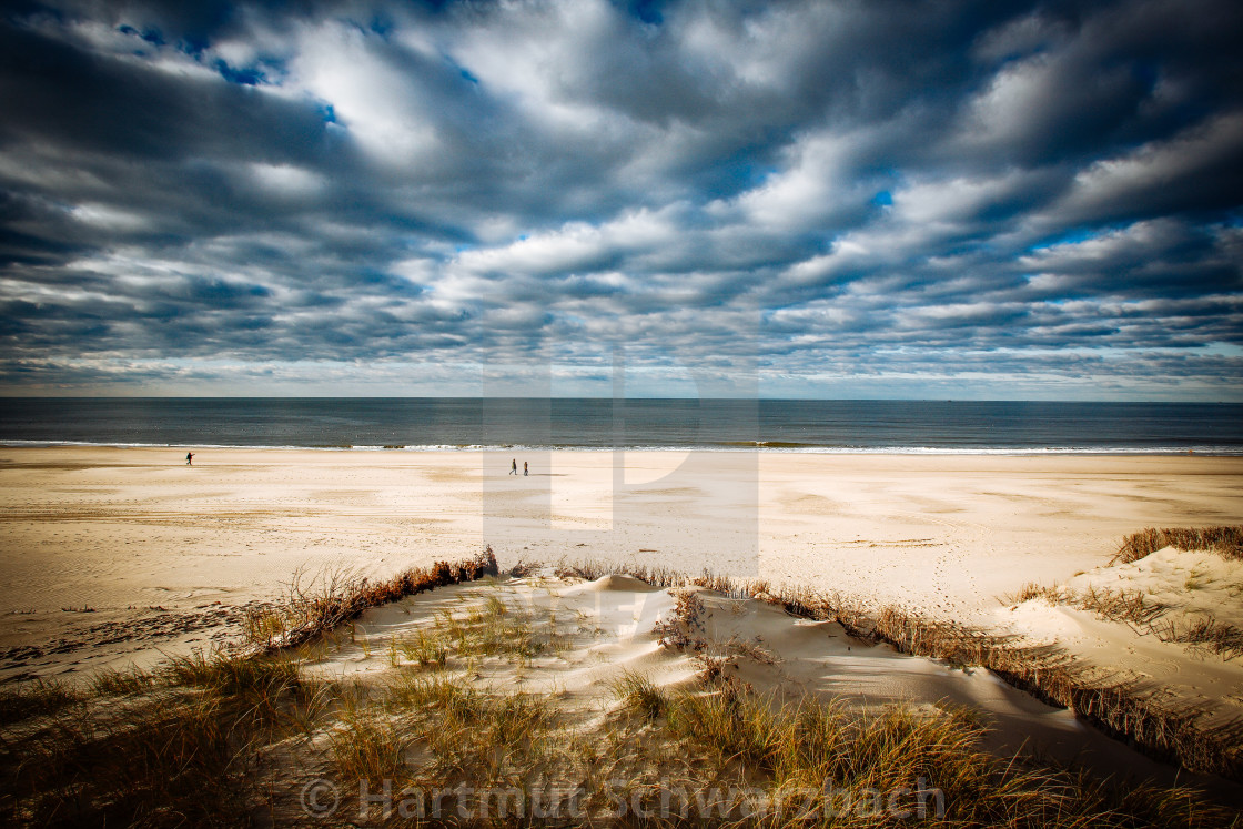 "Sand flushing with heavy equipment to secure the coast and the s" stock image