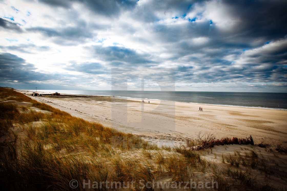 "Sand flushing with heavy equipment to secure the coast and the s" stock image