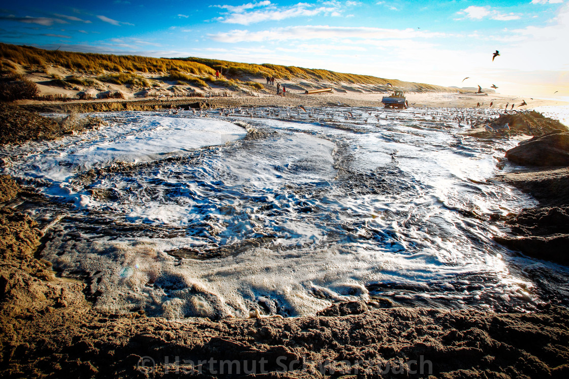 "Sand flushing with heavy equipment to secure the coast and the s" stock image