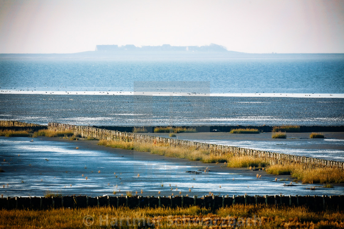 "coastal protection on the north sea" stock image