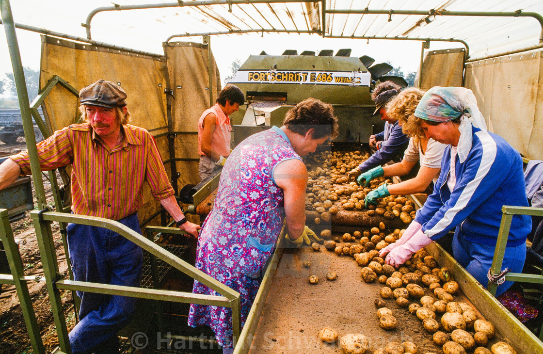 "DDR Dia Nr.800,408, German Democratic Republic - DDR" stock image