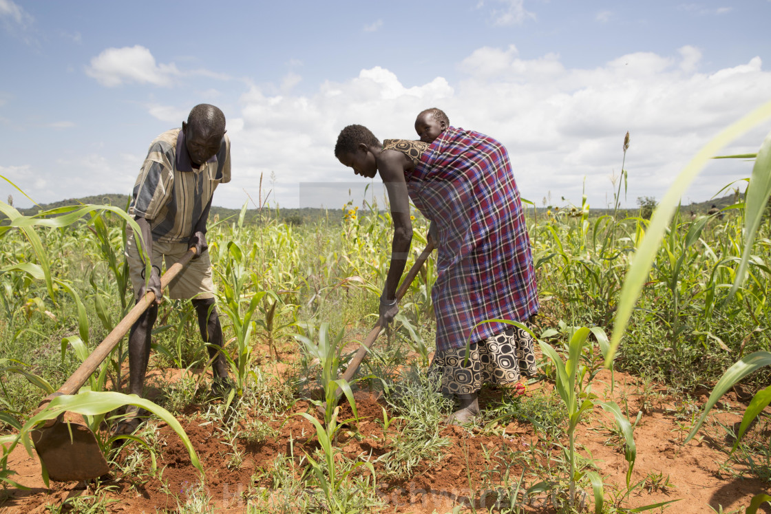 "Farmers in Uganda" stock image