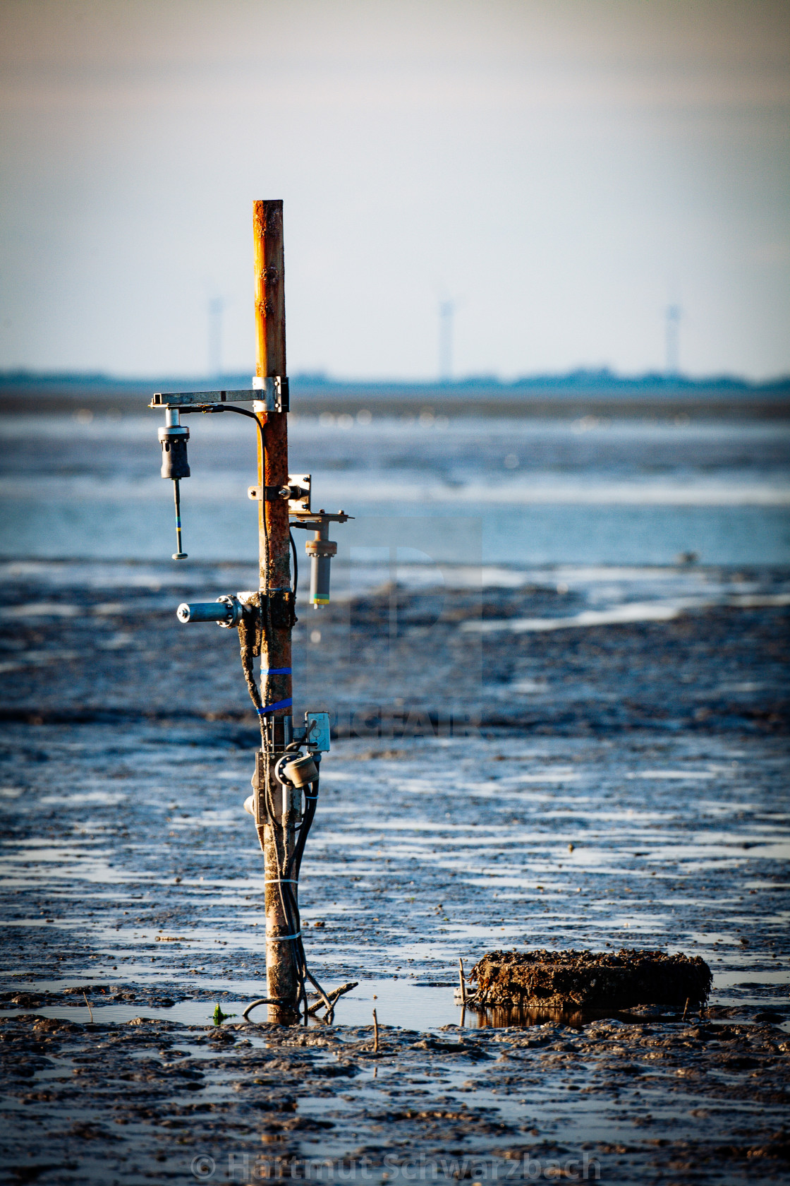 "coastal protection on the north sea" stock image