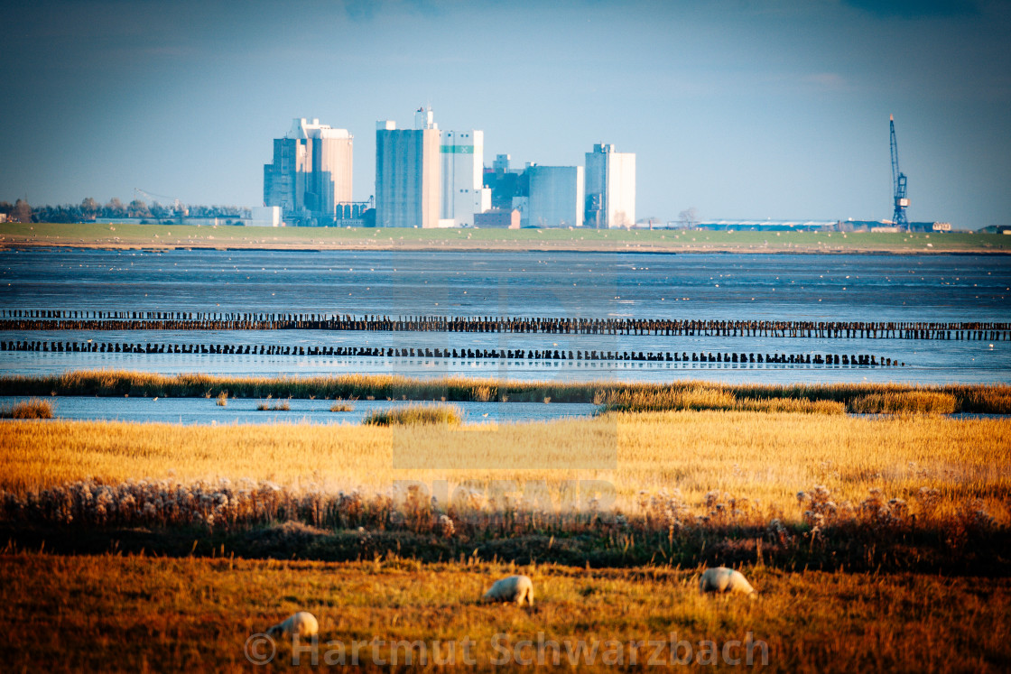 "coastal protection on the north sea" stock image