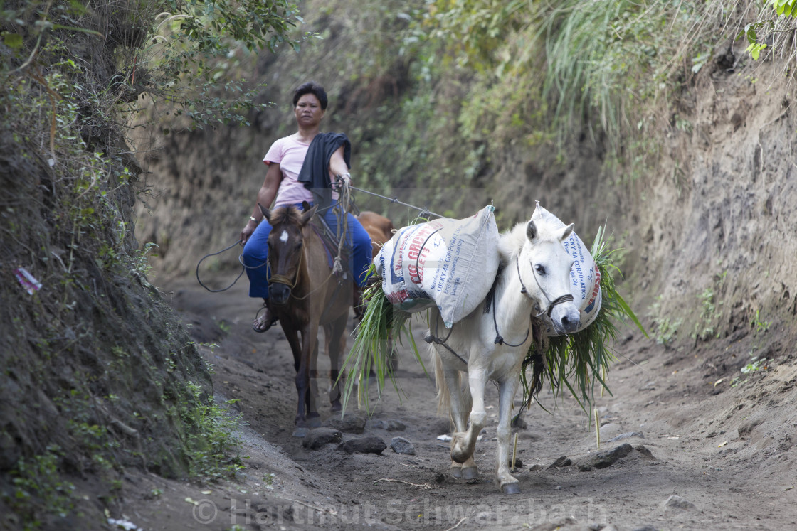 "Taal Volcano Philippines - Taal Vulkan Philippinen" stock image