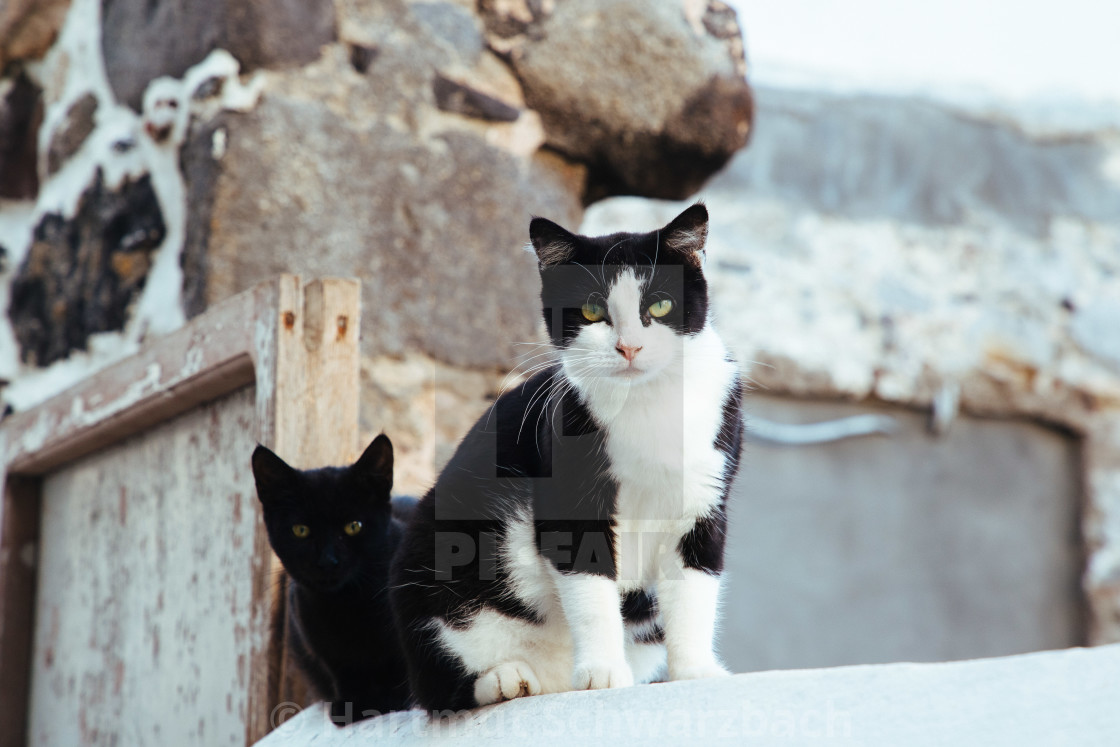 "Nisyros, Insel der Dodekanes" stock image