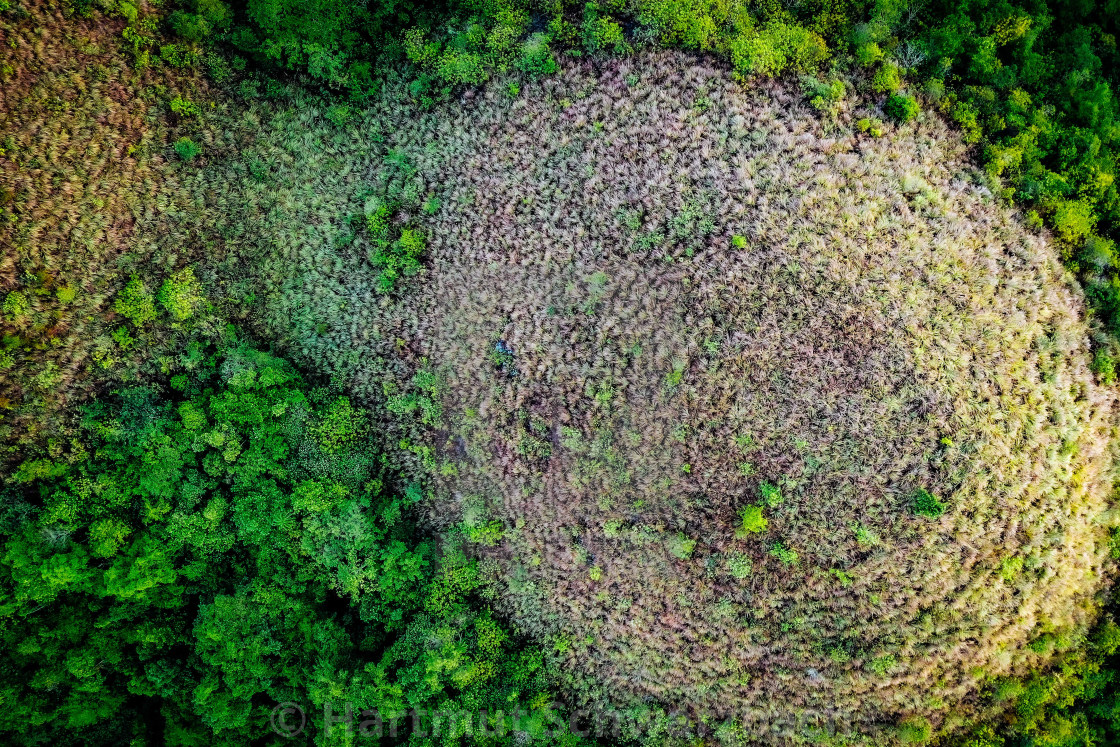 "Chocolate Hills Bohol Philippines" stock image