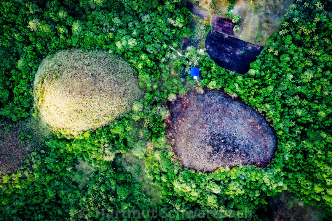 "Chocolate Hills Bohol Philippines" stock image