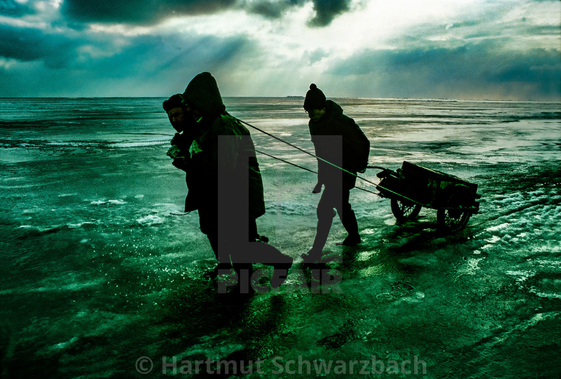 "Winter auf Hallig Gröde im Nordfriesischem Wattenmeer" stock image