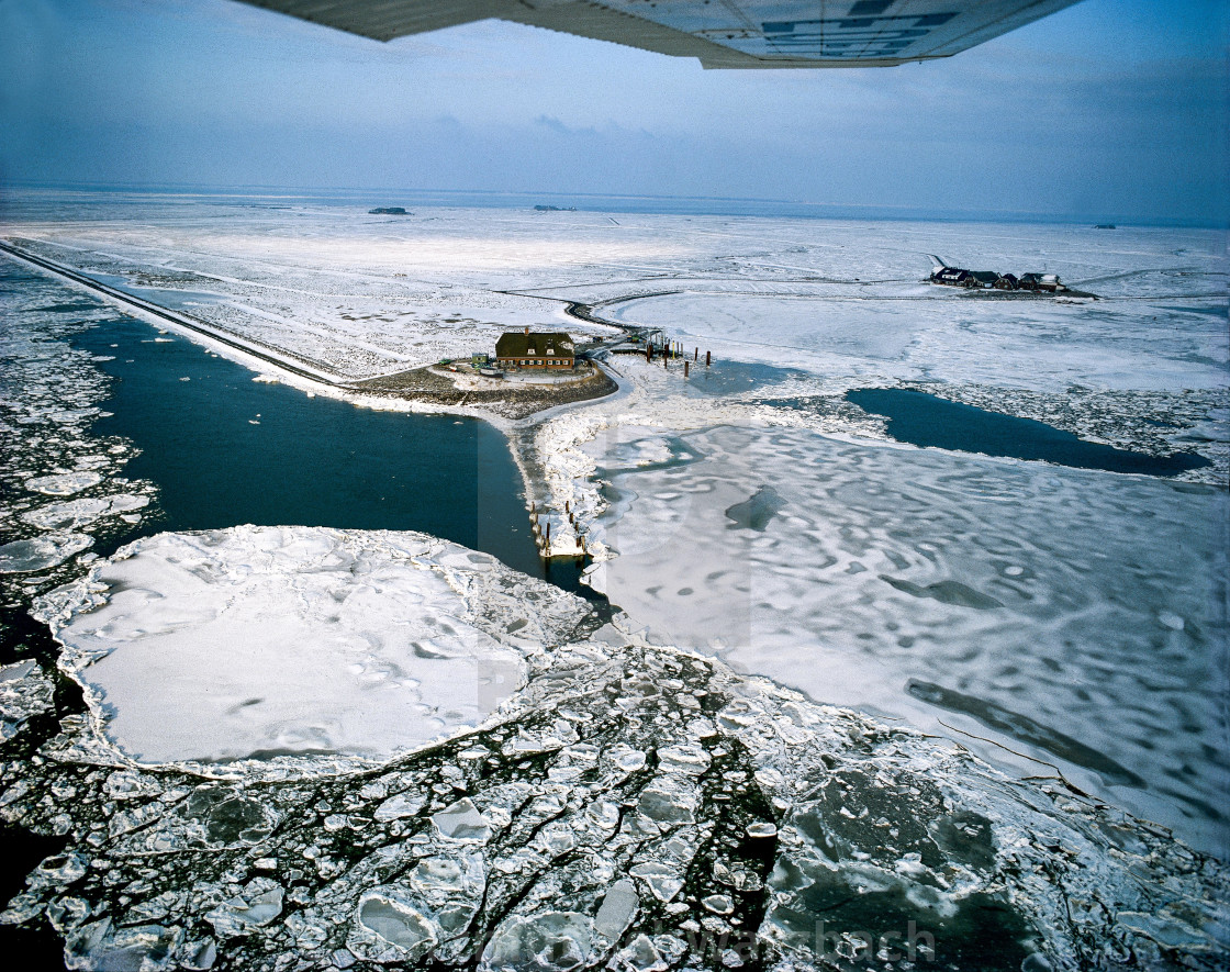 "Winter auf Hallig Langeness im Nordfriesischem Wattenmeer" stock image