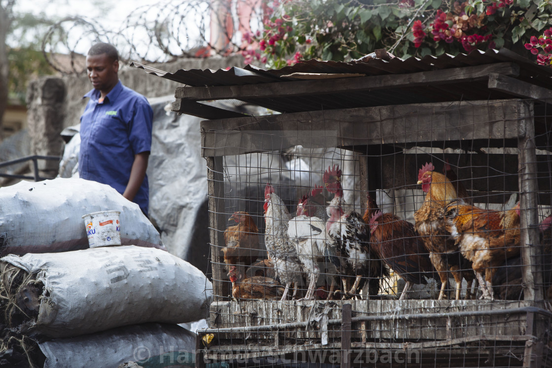 "Kibera Slum Nairobi Kenia" stock image