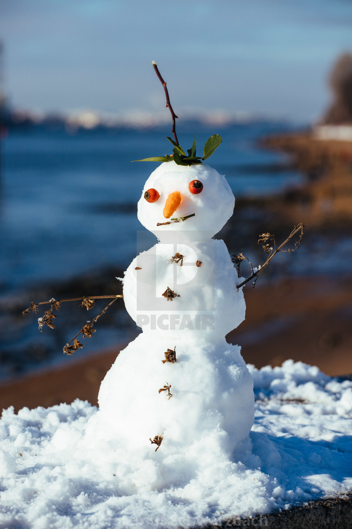 "Schneemann im Winter an der Elbe" stock image