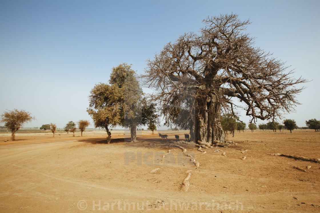 "Burkina Faso" stock image