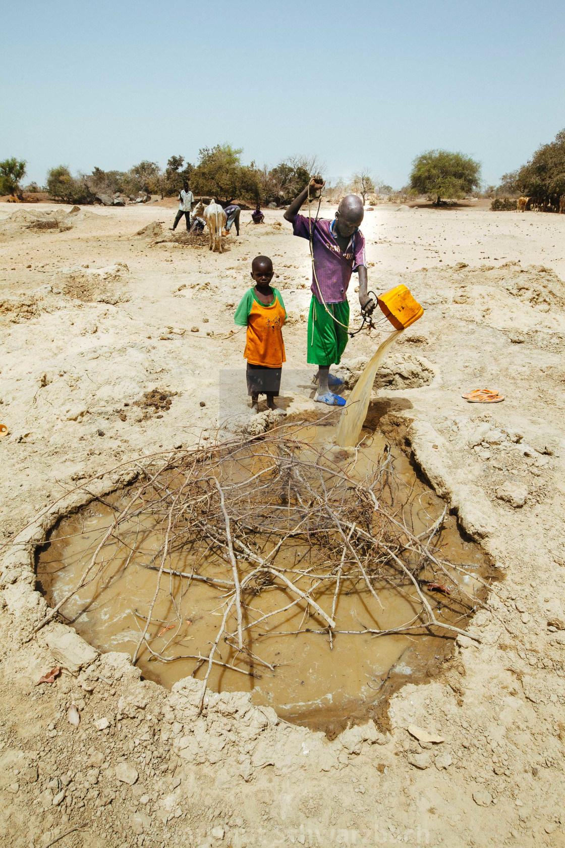 "Water Hole in the Sahel Zone, Burkina Faso" stock image